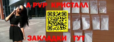 прущие грибы Камышлов
