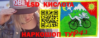 мяу мяу мука Кандалакша