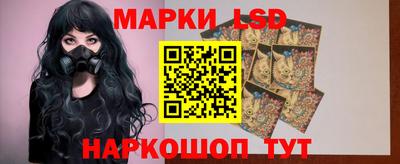 прущие грибы Камышлов