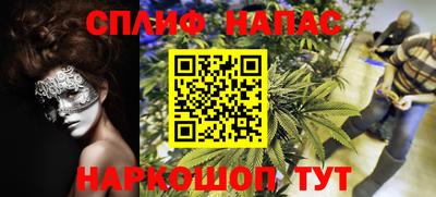 прущие грибы Камышлов