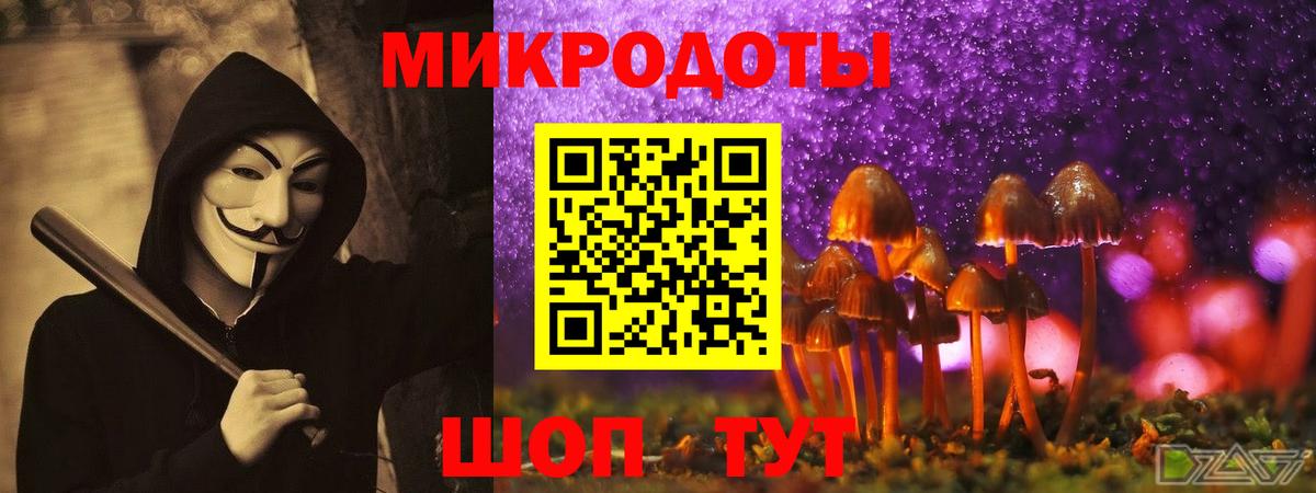 наркотики  Вход с VPN  Салават  Псилоцибиновые грибы мухоморы 